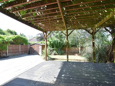 Picture 7
